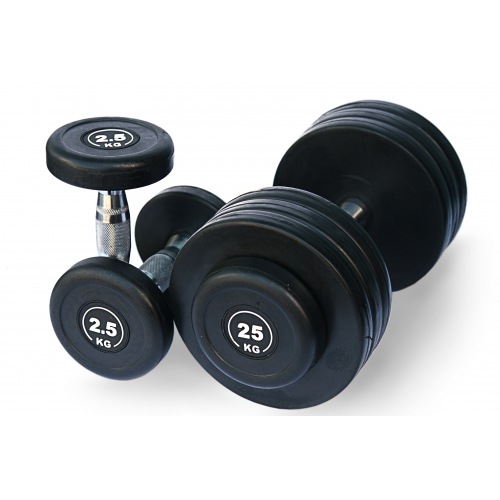 FDS-09-2.5/25kg Гантельный ряд Alex