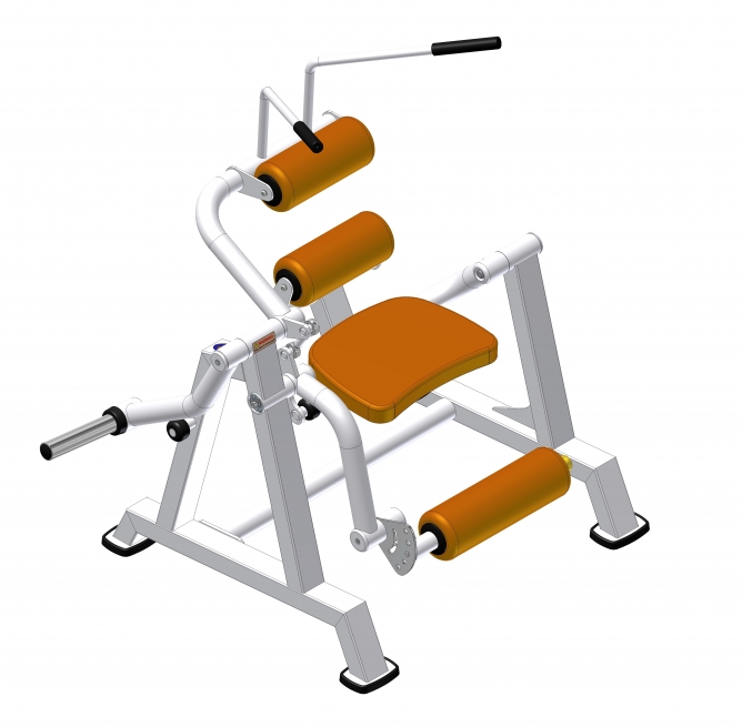 1318 Мышцы брюшного пресса